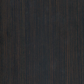 Legno temniy